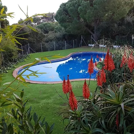 Villa Levante *